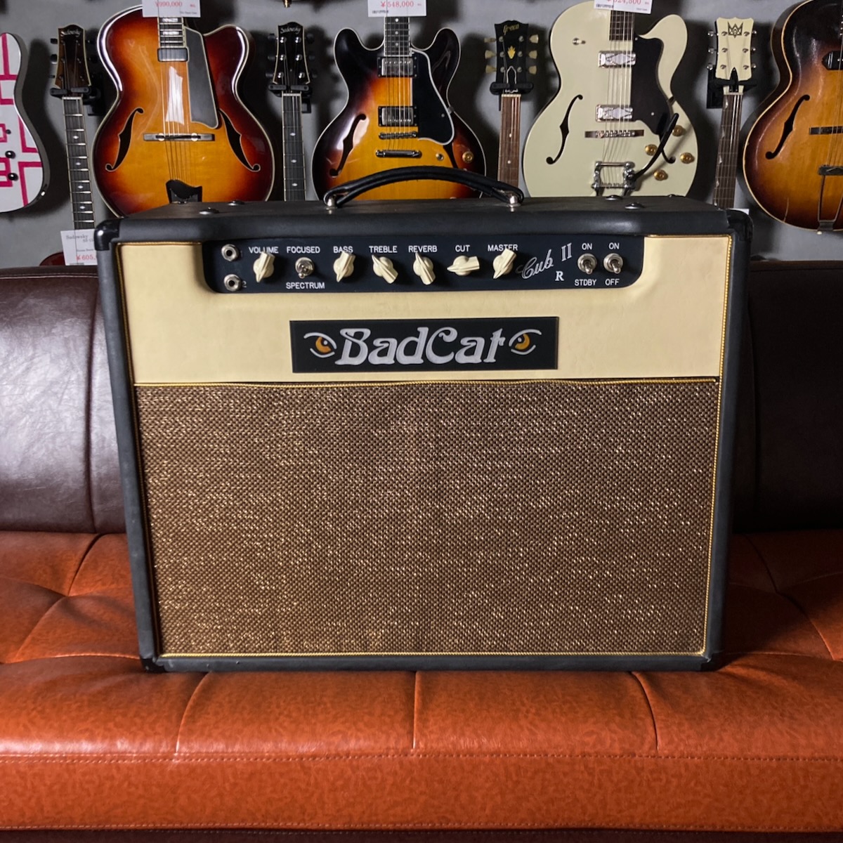 Bad Cat Cub II 15R 112 / 100v Combo
